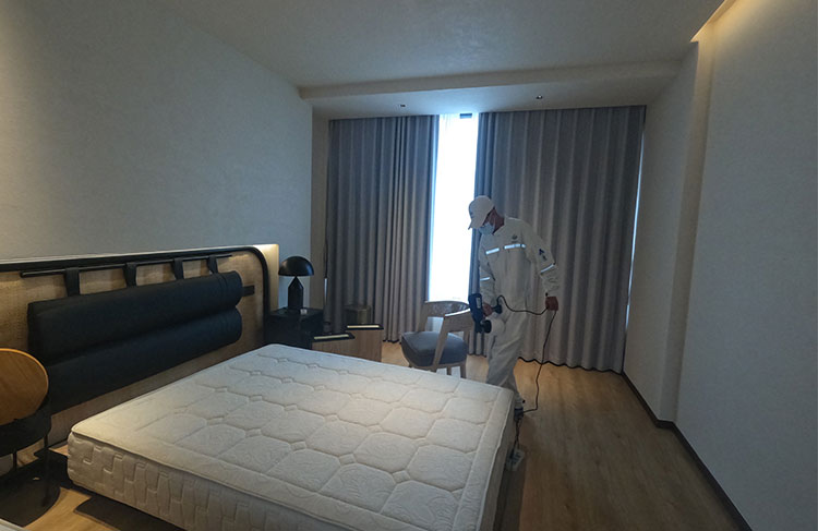 家庭新房除甲醛